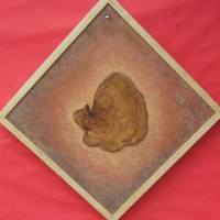 /album/galleria-foto-opere-di-pittura/a49-s-lavorato-anni-passati-a-crescere-jpg/